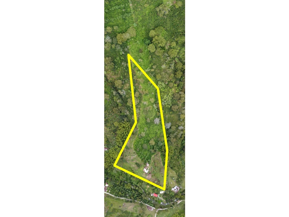 SE VENDE FINCAL EN GENOVA QUINDIO QUINDIO COLOMBIA-3207746921 - 3