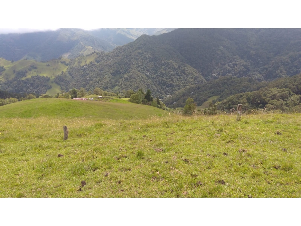 SE VENDE FINCA EN MANIZALES CALDAS COLOMBIA