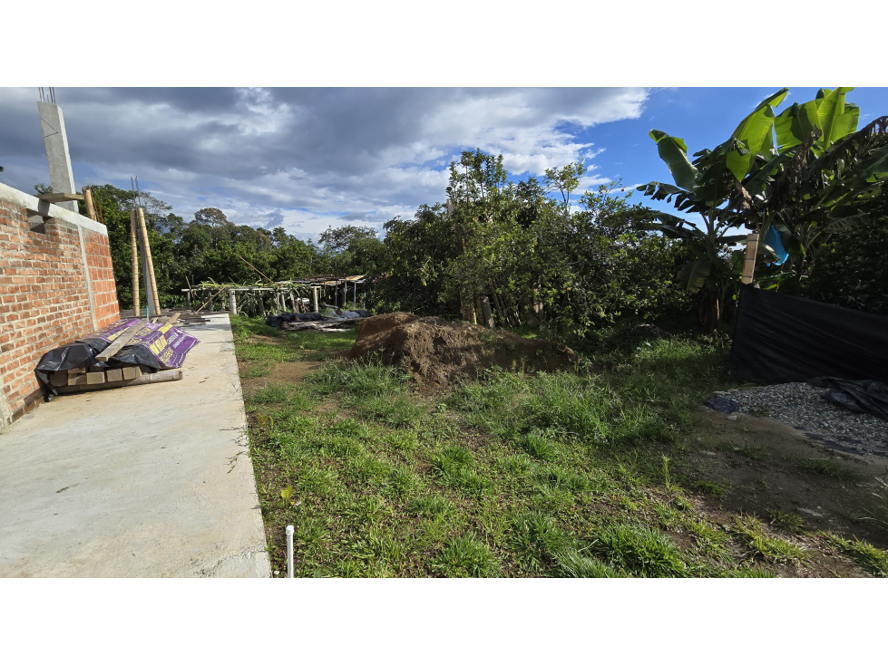 SE VENDE CASA LOTE CON CULTIVOS VIA AL CAIMO, QUINDIO COLOMBIA - 3
