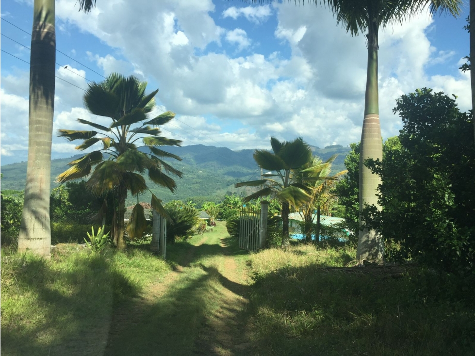 VENTA FINCA CAICEDONIA VALLE COLOMBIA-3207746921 - 2