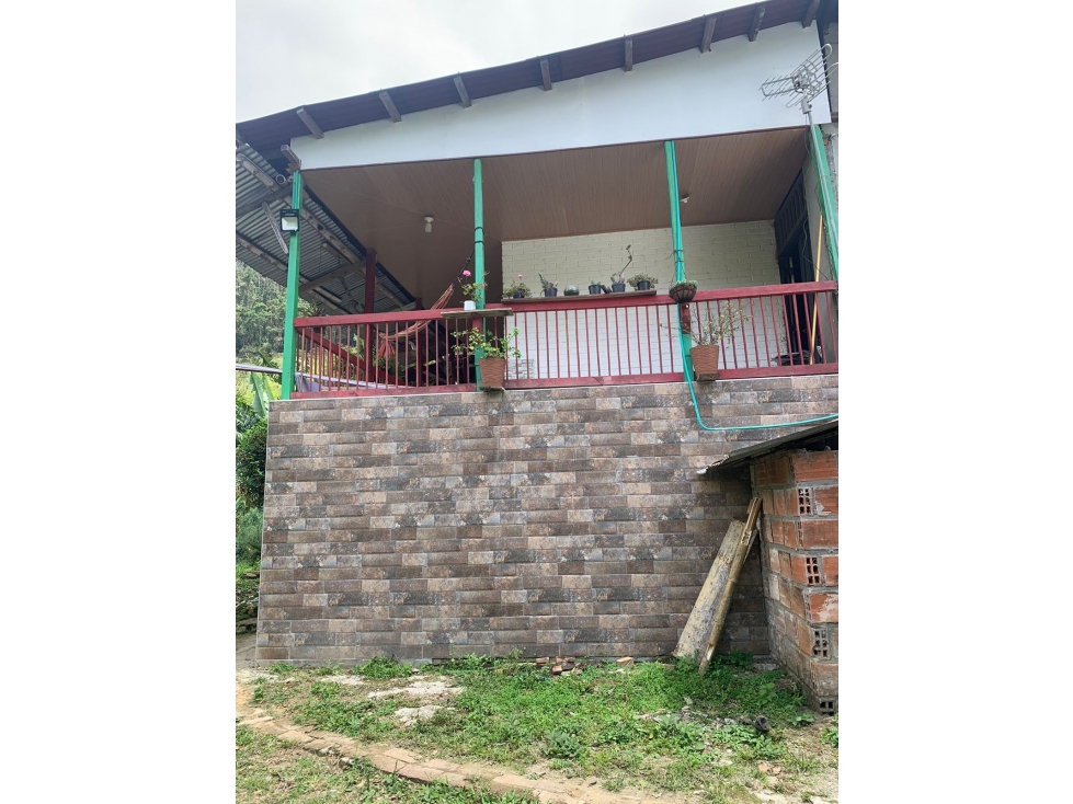 VENTA FINCA GENOVA QUINDIO COLOMBIA 3156194358 3207746921 — foto 2