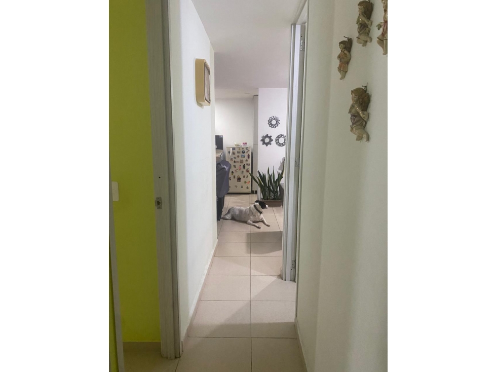 VENTA APARTAMENTO SUR ARMENIA QUINDIO COLOMBIA 3156194358 — foto 3