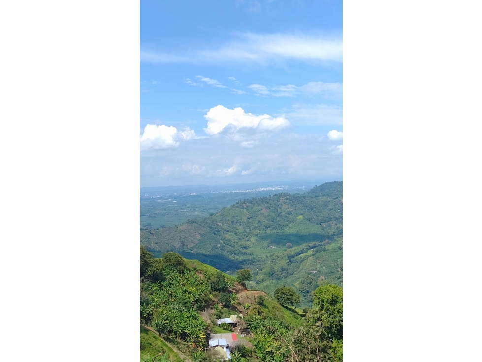VENTA FINCA CORDOBA QUINDIO COLOMBIA 3156194358 — foto 6