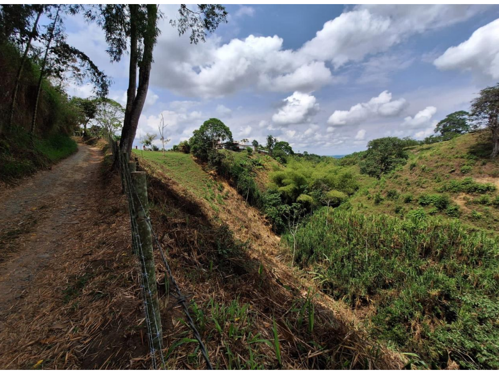 LOTE EN VENTA A SOLO 5 MINUTOS DE ARMENIA, Q, COLOMBIA. 3207746921 — foto 5