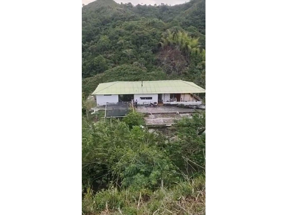 VENTA FINCA COROZAL VALLE DEL CAUCA COLOMBIA-3207746921 - 3