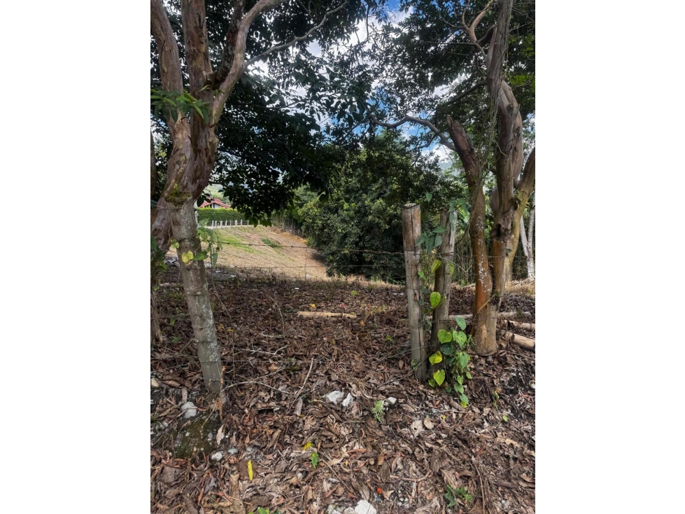 VENTA LOTE EN CONDOMINIO SALENTO QUINDIO COLOMBIA - 2