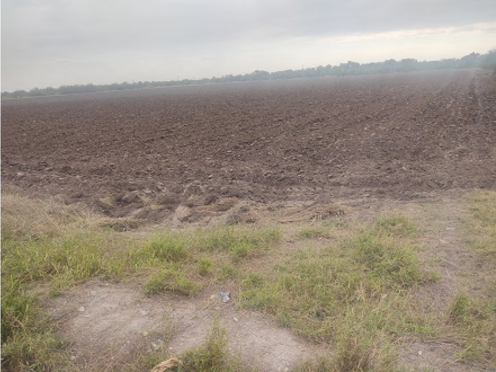 EN VENTA TERRENO AGRICOLA 13-00-00 HAS - 3