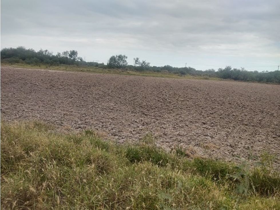 EN VENTA TERRENO AGRICOLA 13-00-00 HAS - 4