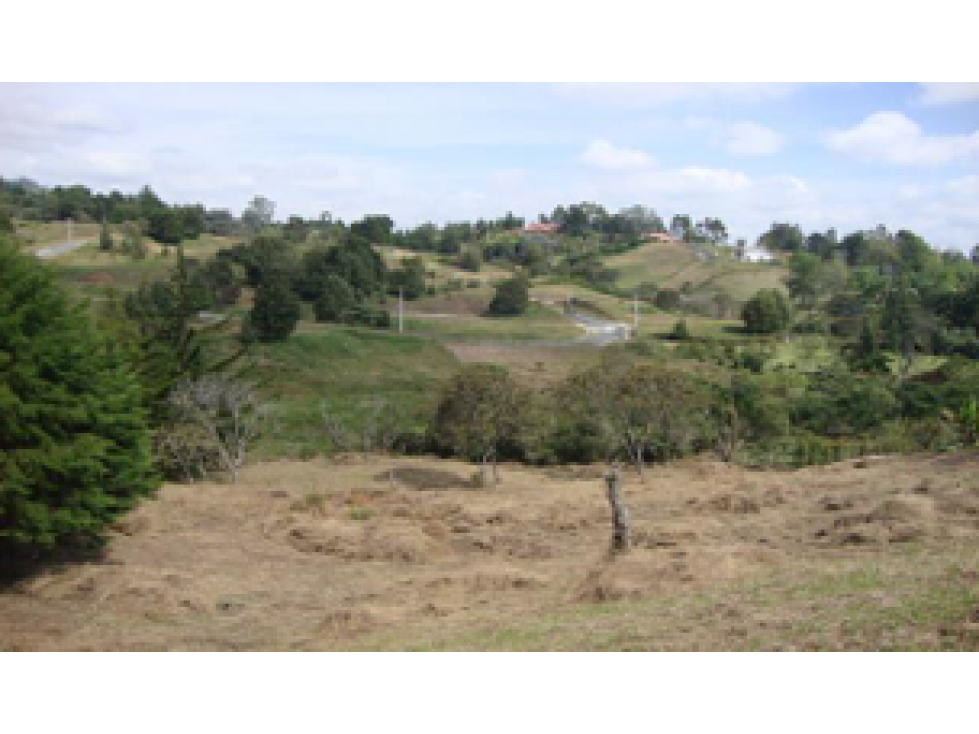 Lote en venta en Sajonia, Rionegro 4.810 m² cerca al aeropuerto — foto 2