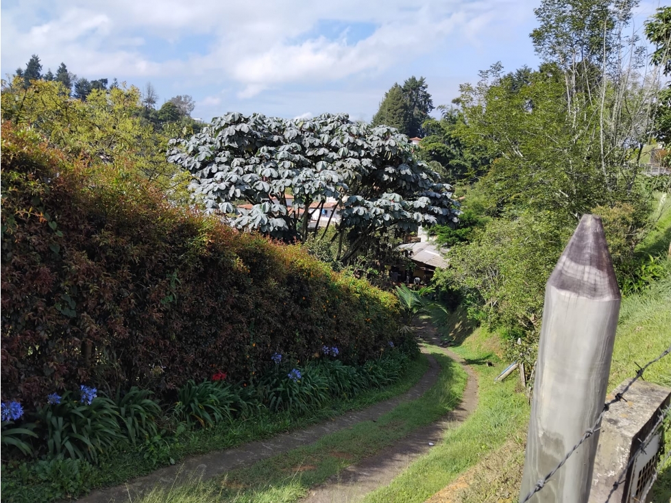 Finca en venta en La Laja, Rionegro 4.150 m², 3 hab — foto 3