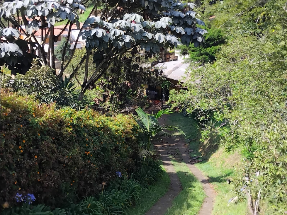 Finca en venta en La Laja, Rionegro 4.150 m², 3 hab — foto 4