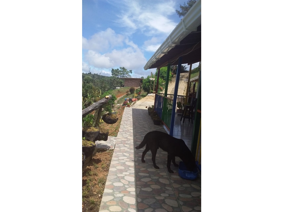 Casa en venta en Santuario 3.013 m² con bosque, 3 hab, 2 baños - 4