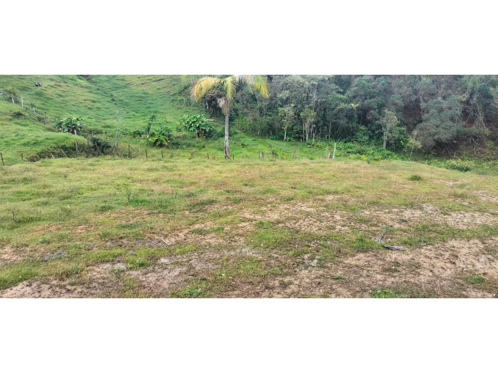 Lote en venta en Chaparral, Guarne 3.000 m² — foto 6
