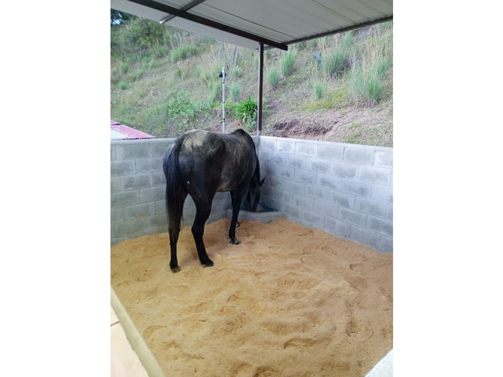 Finca en venta en Piedras Blancas, Guarne 10.120 m² (1,0 ha) — foto 6