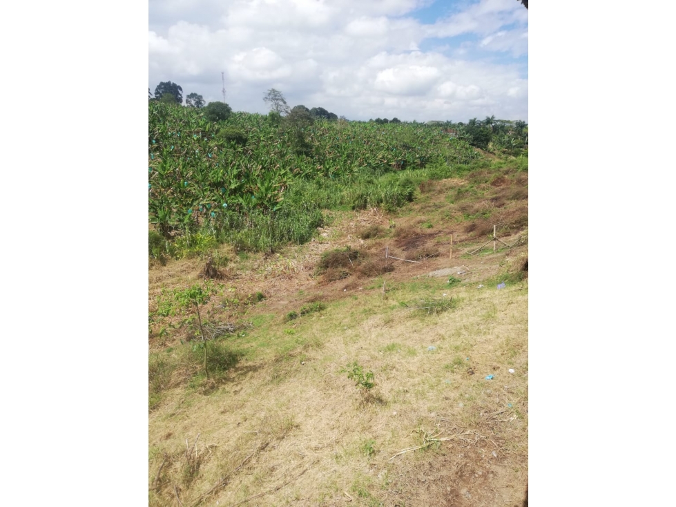 Venta Lote Pueblo Tapao Quindío - Colombia COD: 2951770 - 5