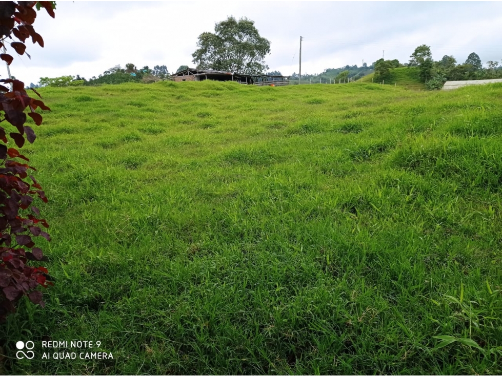 Venta Lote Filandia Quindio - Colombia COD: 3830684 - 5