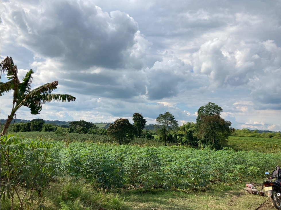 Venta Lote Tebaida Quindio - Colombia COD: 6204474 - 3