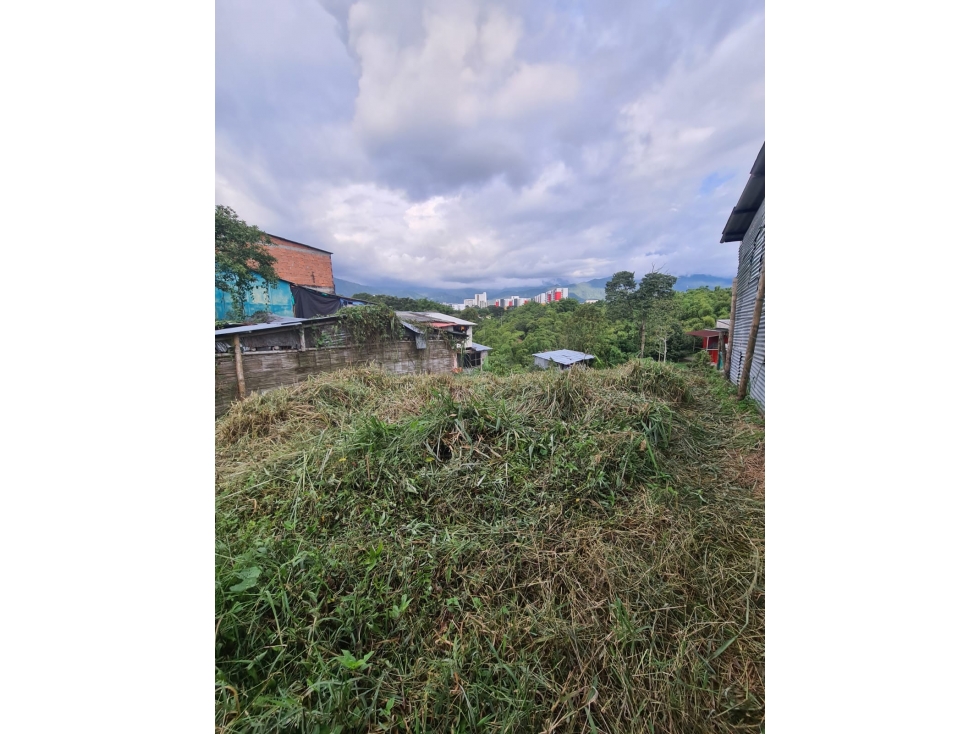 Venta Lote Occidente Armenia Quindio - Colombia COD: 6708716
