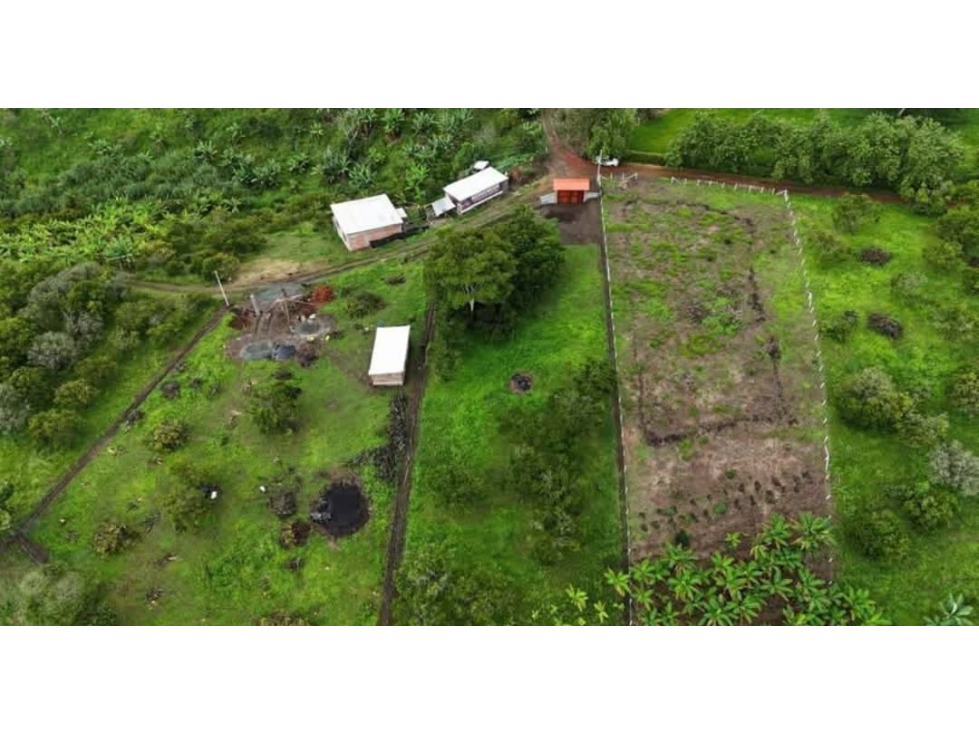 Venta Lote en Quimbaya. Quindio - Colombia COD: 9463095 - 2