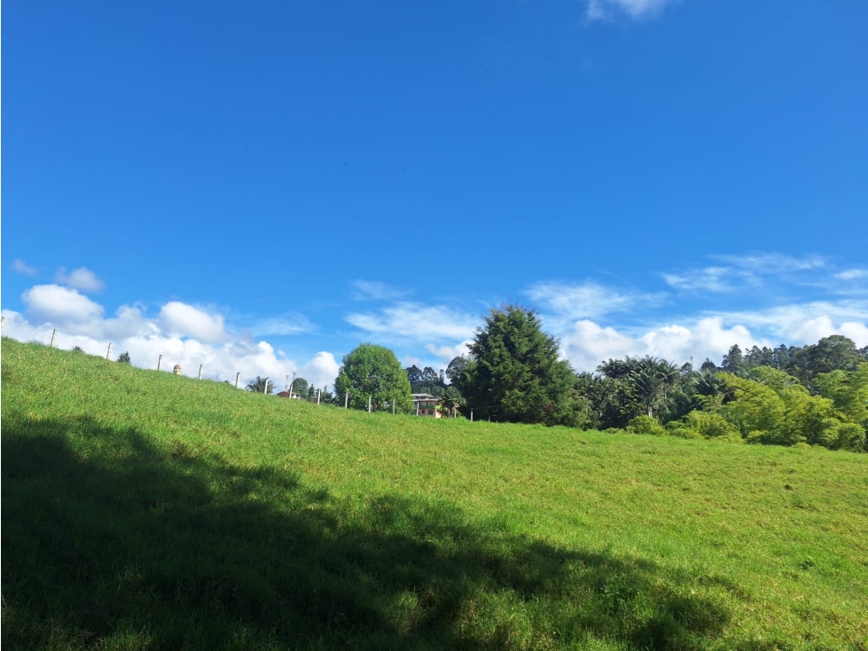 Venta Lote Salento Quindío - Colombia COD: 564264 - 3