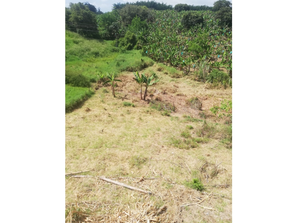 Venta Lote Pueblo Tapao Quindío - Colombia COD: 2951770 - 4