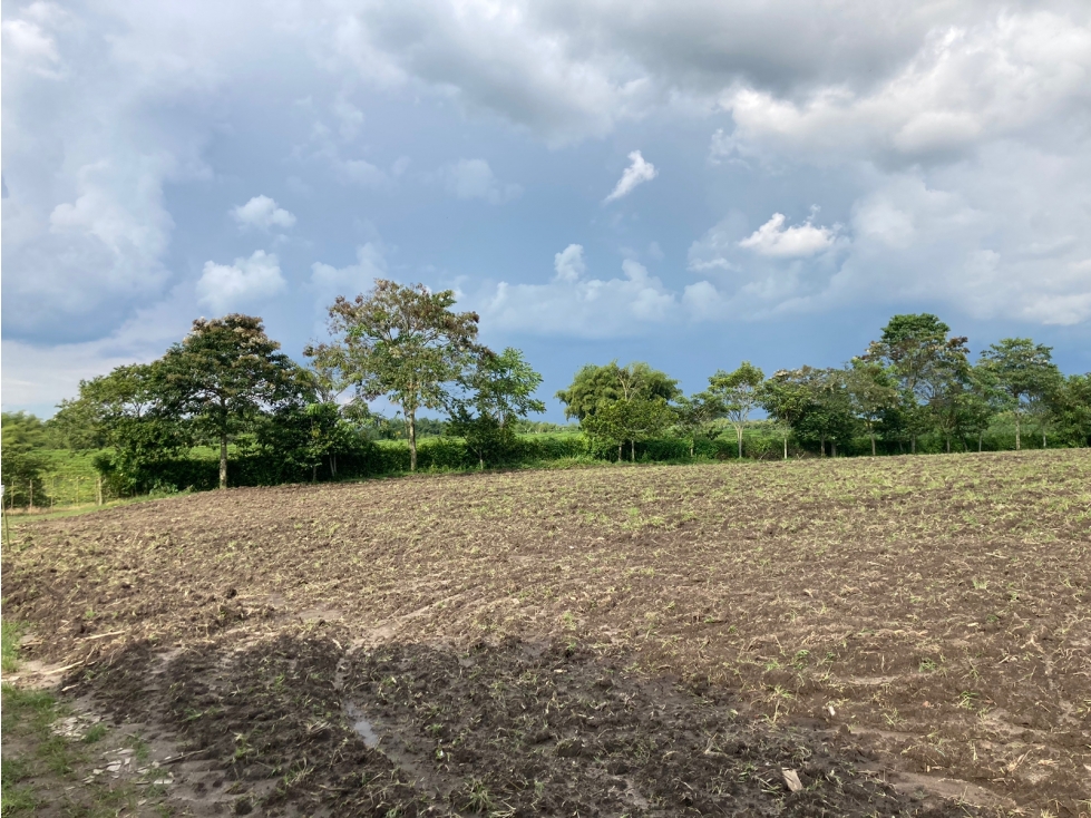 Venta Lote Tebaida Quindio - Colombia COD: 6204474 - 4