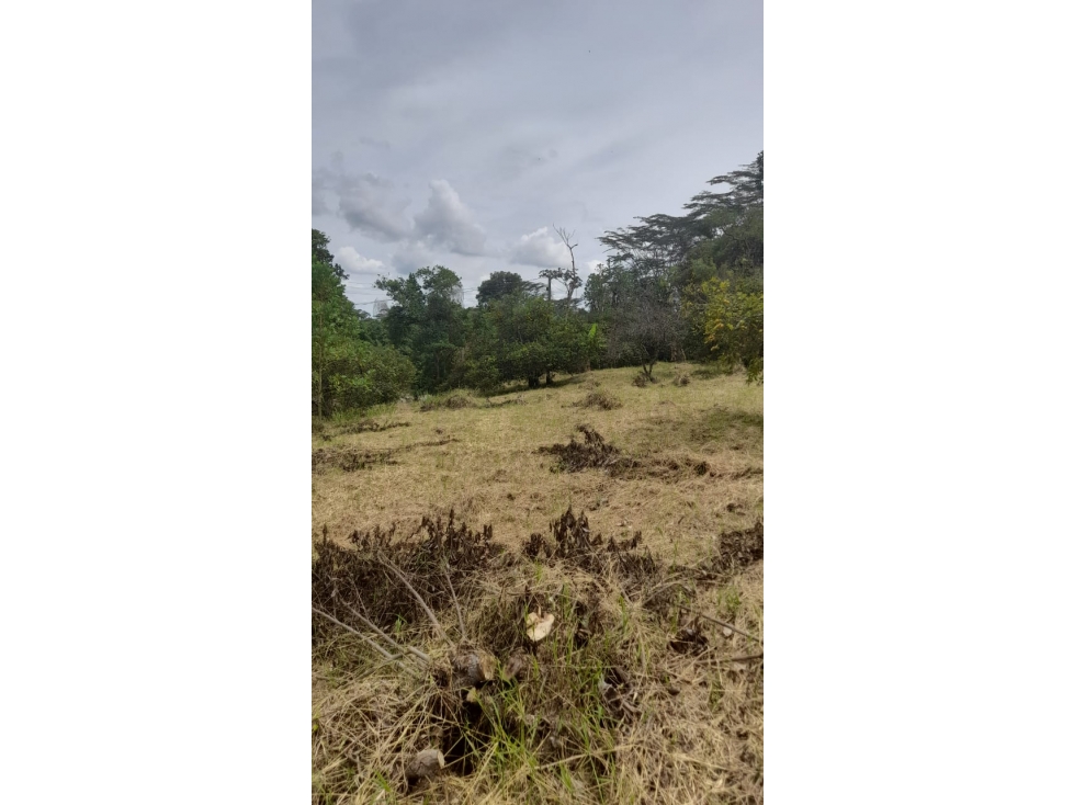 Venta Lote Sur Armenia Quindio - Colombia COD: 6986190 — foto 3