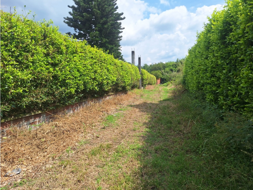 Venta Lote La Tebaida Quindio - Colombia COD: 6178230