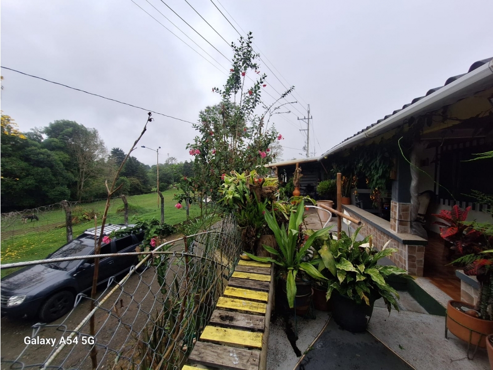 Venta Casa Campestre Salento. Quindío - Colombia COD: 9054527 - 1