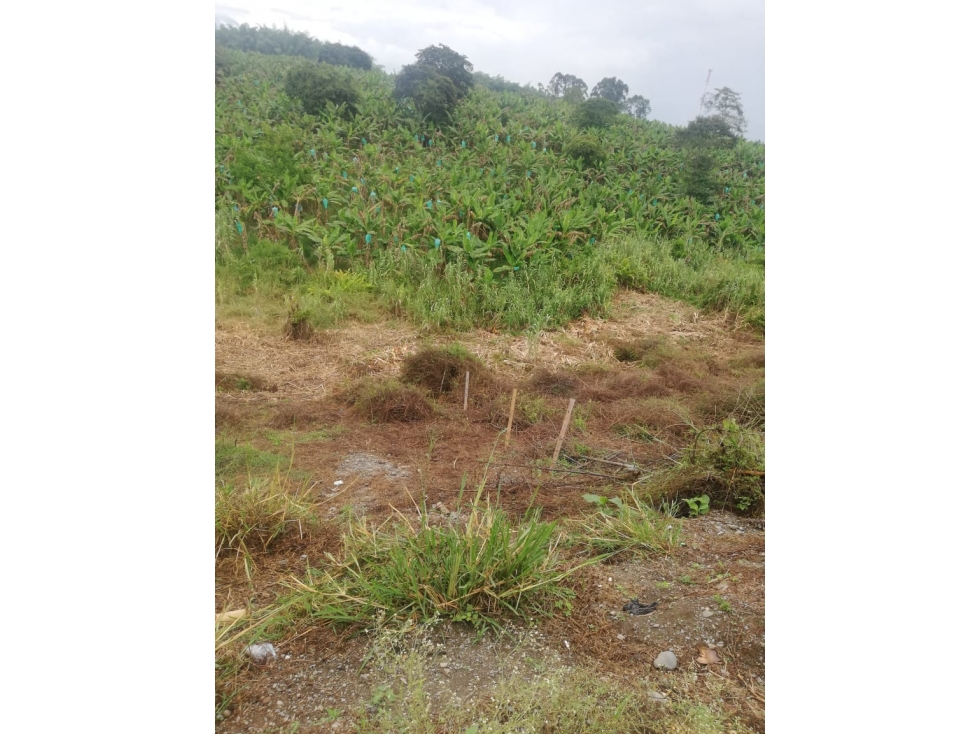 Venta Lote Pueblo Tapao Quindío - Colombia COD: 2951770 - 3