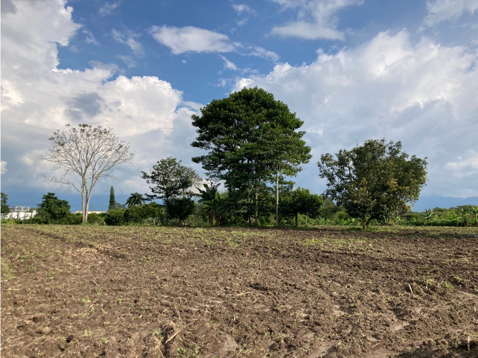 Venta Lote Tebaida Quindio - Colombia COD: 6204474 - 5