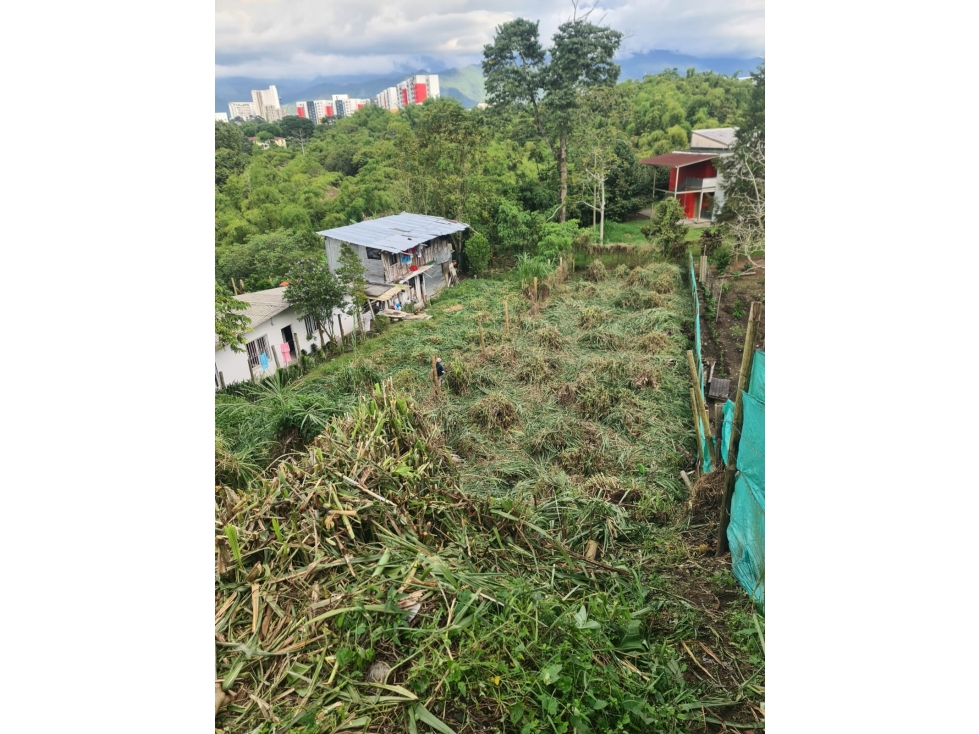 Venta Lote Occidente Armenia Quindio - Colombia COD: 6708716 — foto 3