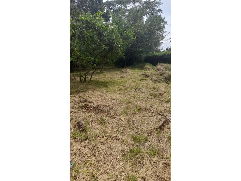 Venta Lote Sur Armenia Quindio - Colombia COD: 6986190 — foto 4