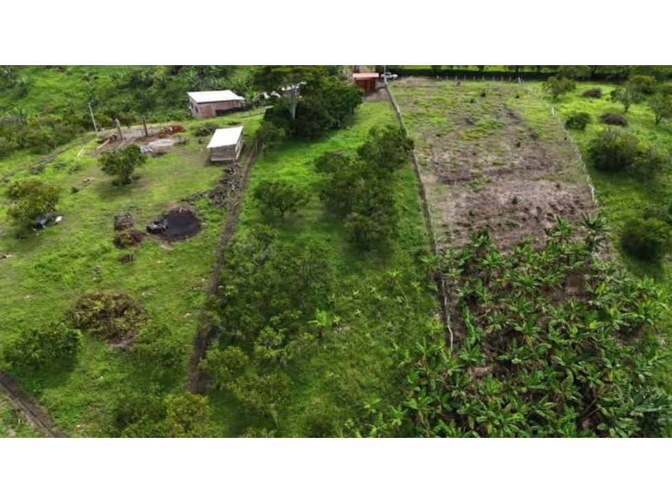 Venta Lote en Quimbaya. Quindio - Colombia COD: 9463095 - 3