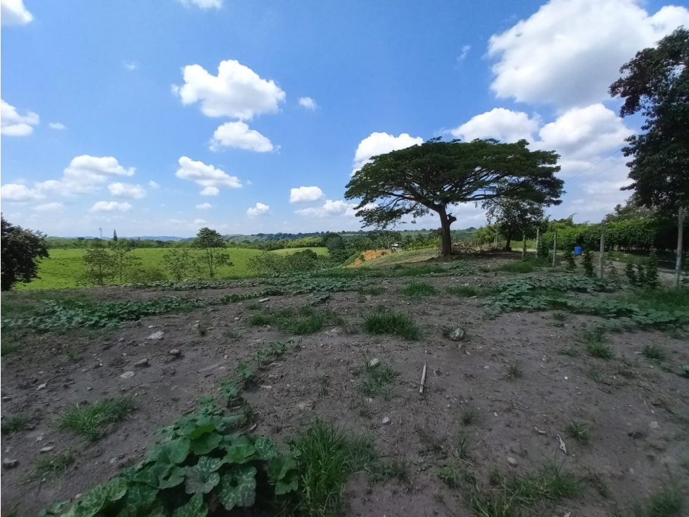 Venta Lote Sur Tebaida Quindio - Colombia COD: 6229940 - 1
