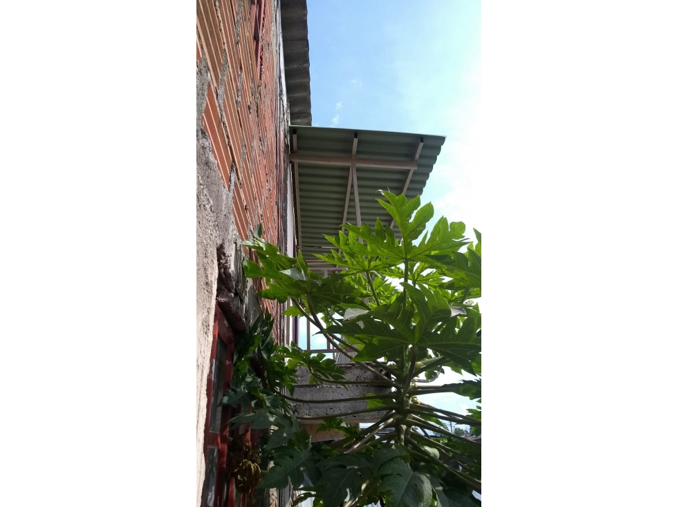 Venta Casa Sur Armenia Quindio- Colombia COD: 6555896