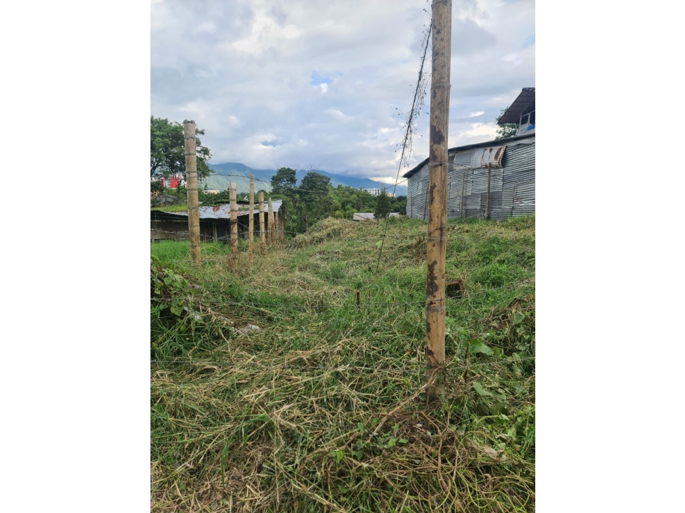 Venta Lote Occidente Armenia Quindio - Colombia COD: 6708716 — foto 4