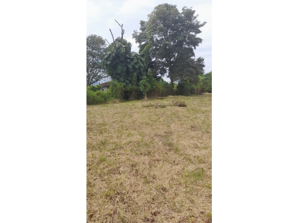 Venta Lote Sur Armenia Quindio - Colombia COD: 6986190 — foto 5