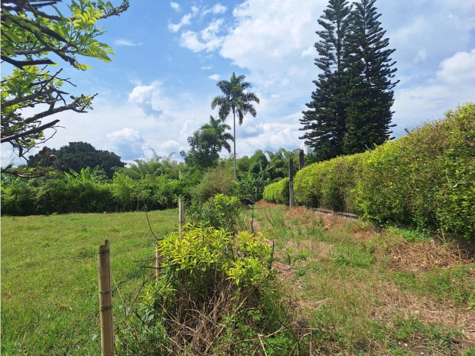 Venta Lote La Tebaida Quindio - Colombia COD: 6178230 — foto 3