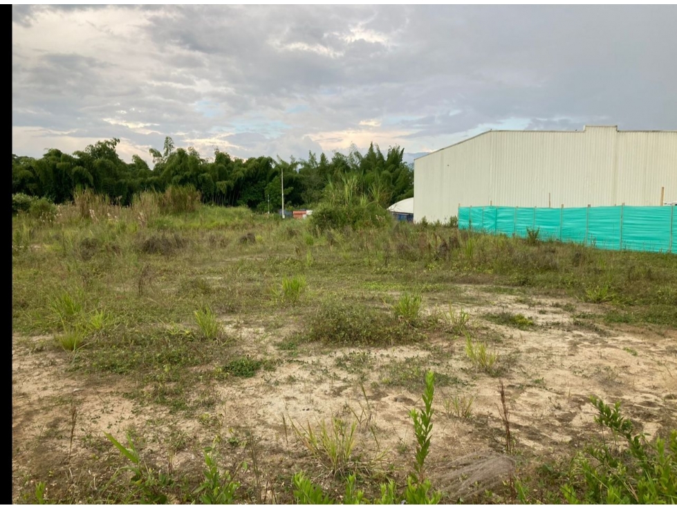 Venta Lote Tebaida Quindio - Colombia COD: 6062343 - 3