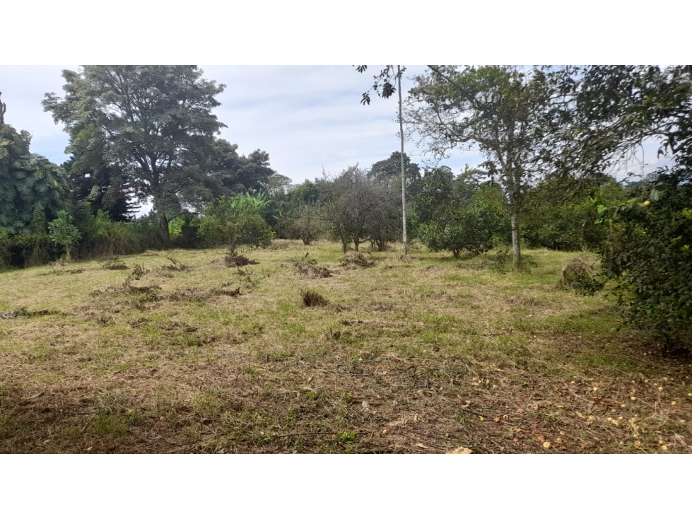 Venta Lote Sur Armenia Quindio - Colombia COD: 6986190 — foto 6