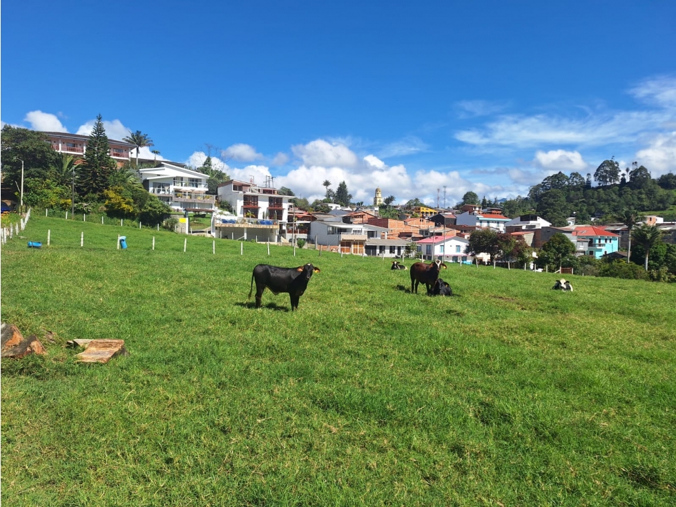 Venta Lote Salento Quindío - Colombia COD: 564264 - 2