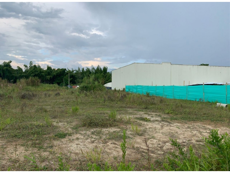 Venta Lote Tebaida Quindio - Colombia COD: 6062343 - 4
