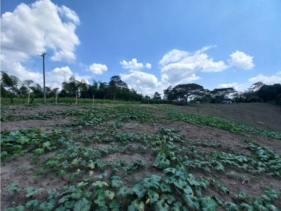 Venta Lote Sur Tebaida Quindio - Colombia COD: 6229940 - 3