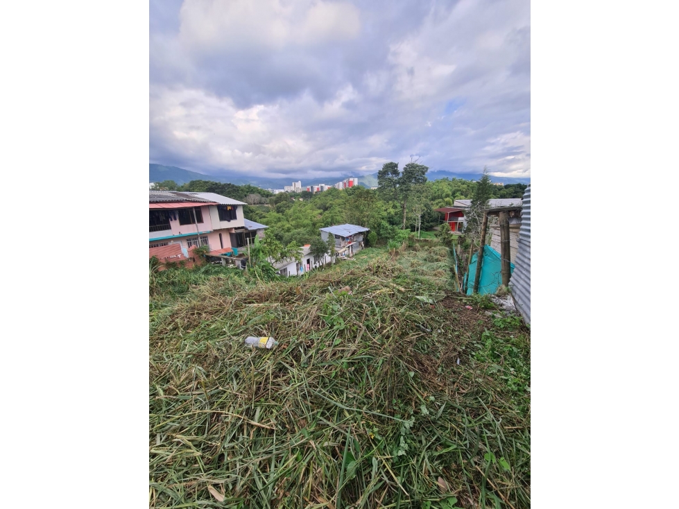 Venta Lote Occidente Armenia Quindio - Colombia COD: 6708716 — foto 6