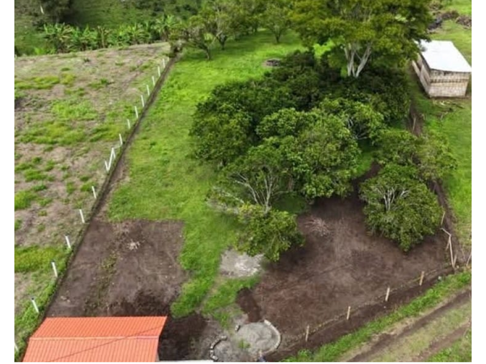 Venta Lote en Quimbaya. Quindio - Colombia COD: 9463095 - 4