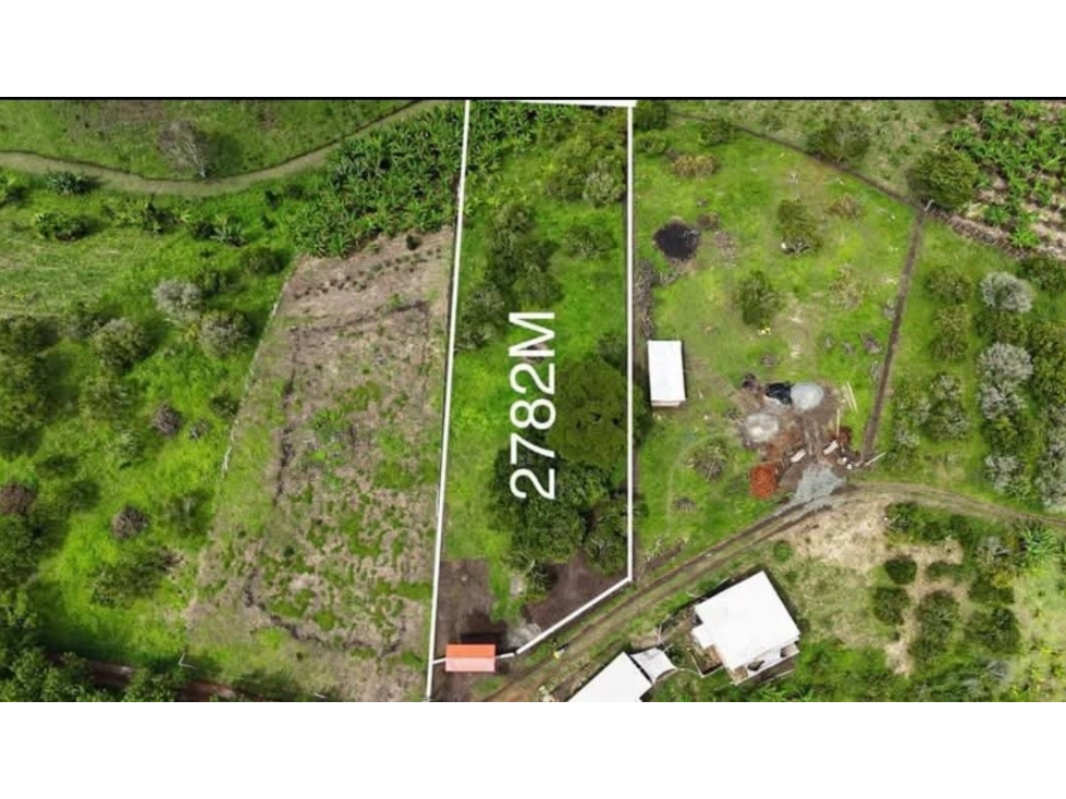 Venta Lote en Quimbaya. Quindio - Colombia COD: 9463095 - 1