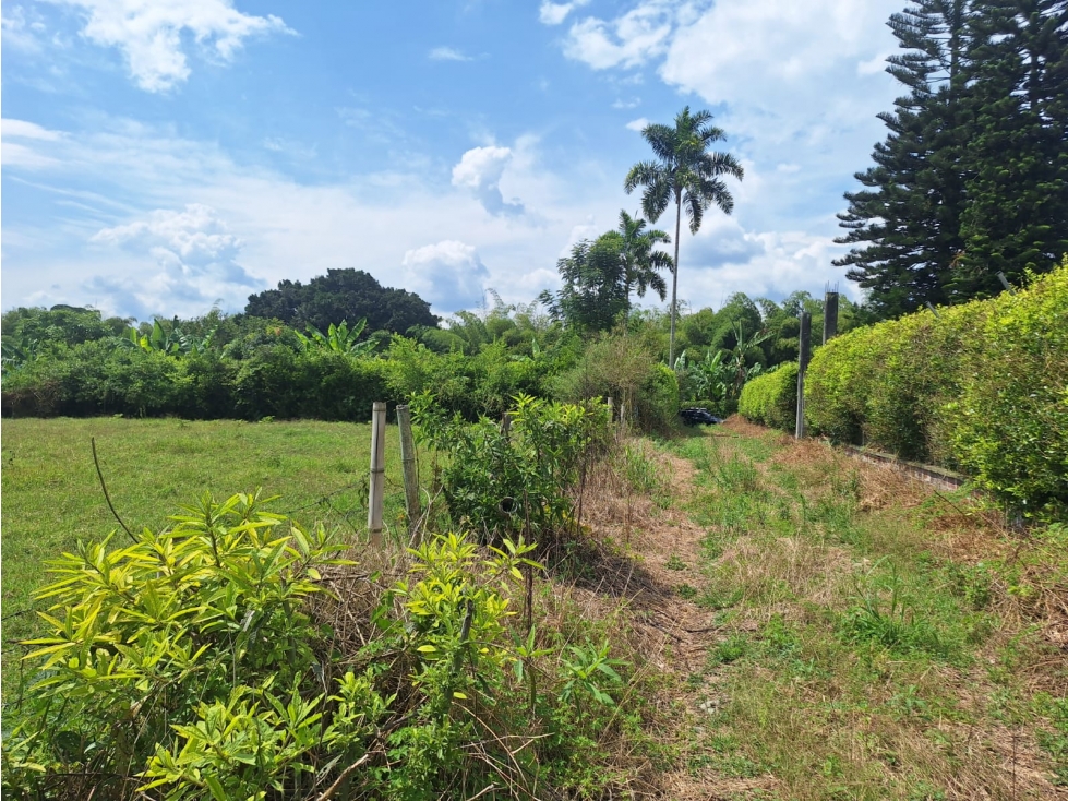 Venta Lote La Tebaida Quindio - Colombia COD: 6178230 — foto 4