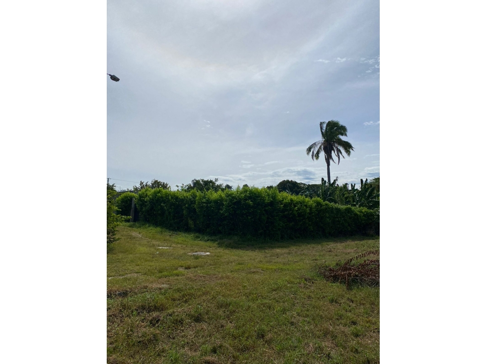 Venta Lotes en urbanización, Guamo -Tolima. Colombia COD: 1377656 - 2