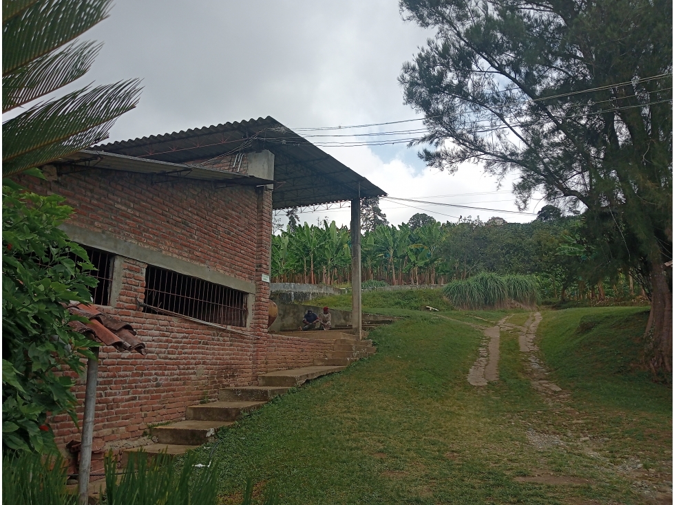 Venta Finca Sevilla vía La Paila, Valle del Cauca COD: 8201383 — foto 5